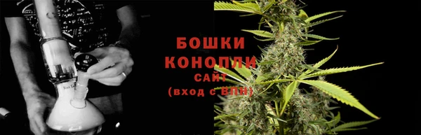 прущие крисы Каменногорск