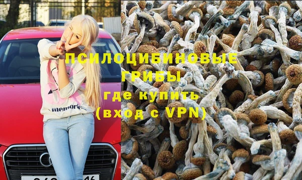 прущие крисы Каменногорск