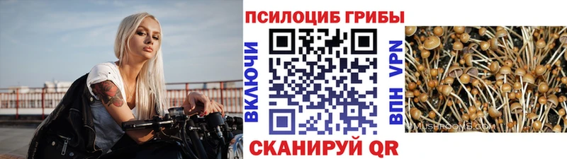 Купить закладки  Асбест  Галлюциногенные грибы прущие грибы 